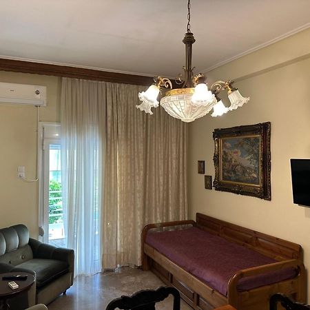 Theoni Central Apartment Καλαμπάκα Εξωτερικό φωτογραφία