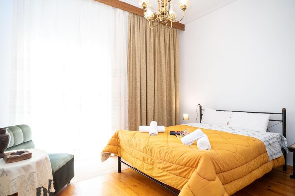 Theoni Central Apartment Καλαμπάκα Εξωτερικό φωτογραφία