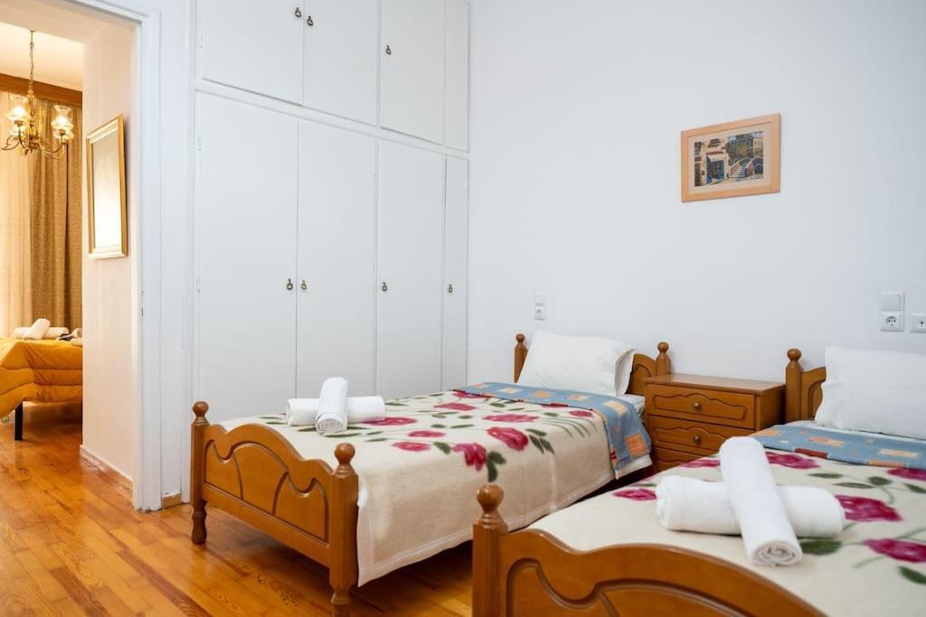 Theoni Central Apartment Καλαμπάκα Εξωτερικό φωτογραφία