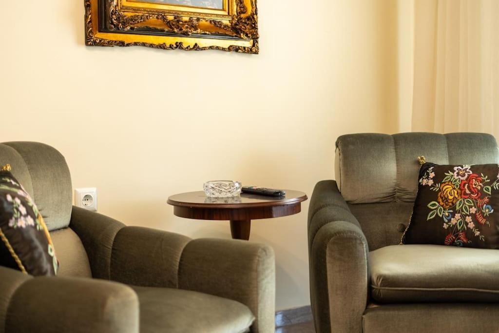 Theoni Central Apartment Καλαμπάκα Εξωτερικό φωτογραφία