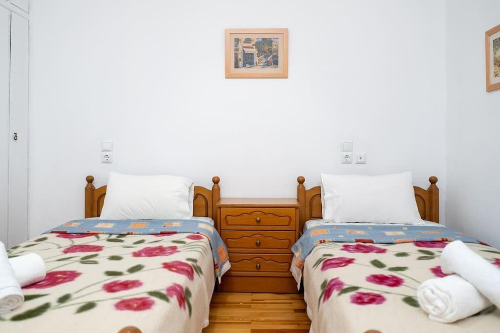 Theoni Central Apartment Καλαμπάκα Εξωτερικό φωτογραφία