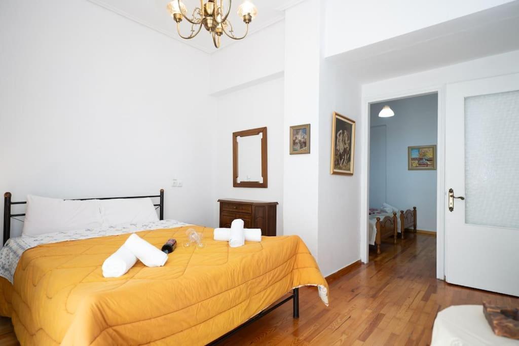 Theoni Central Apartment Καλαμπάκα Εξωτερικό φωτογραφία