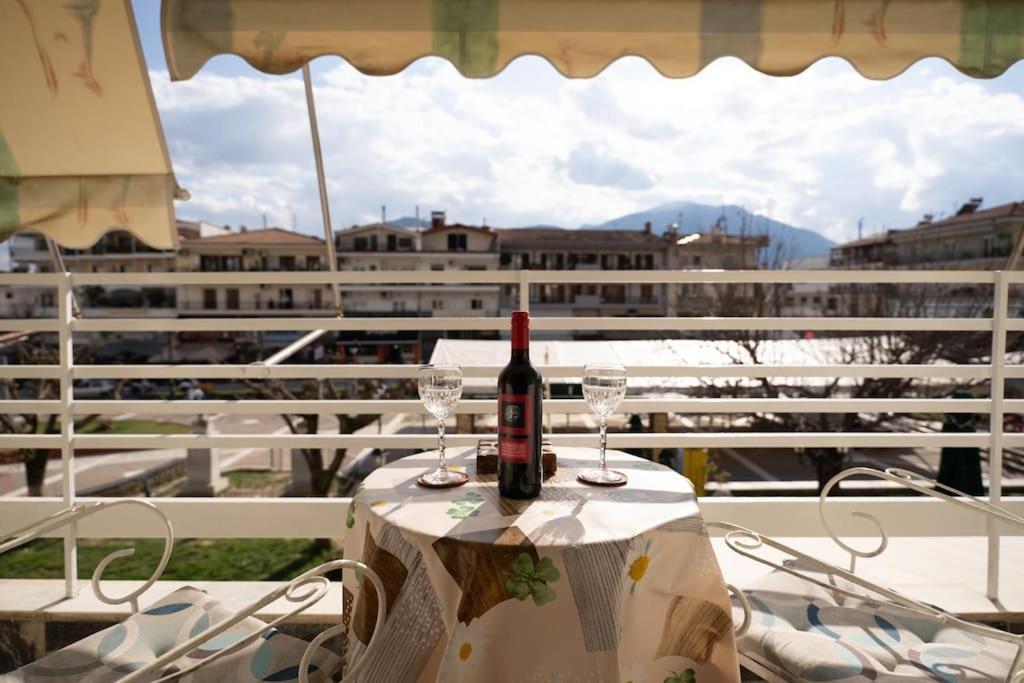 Theoni Central Apartment Καλαμπάκα Εξωτερικό φωτογραφία